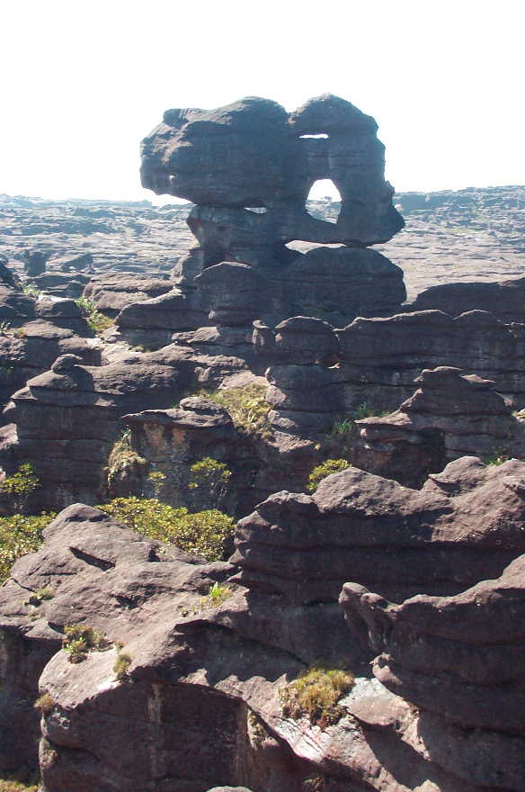 Gran Sabana y Roraima — imagen 2