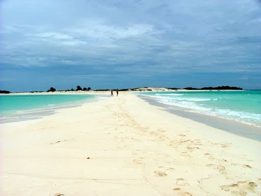 La Tortuga — imagen 1