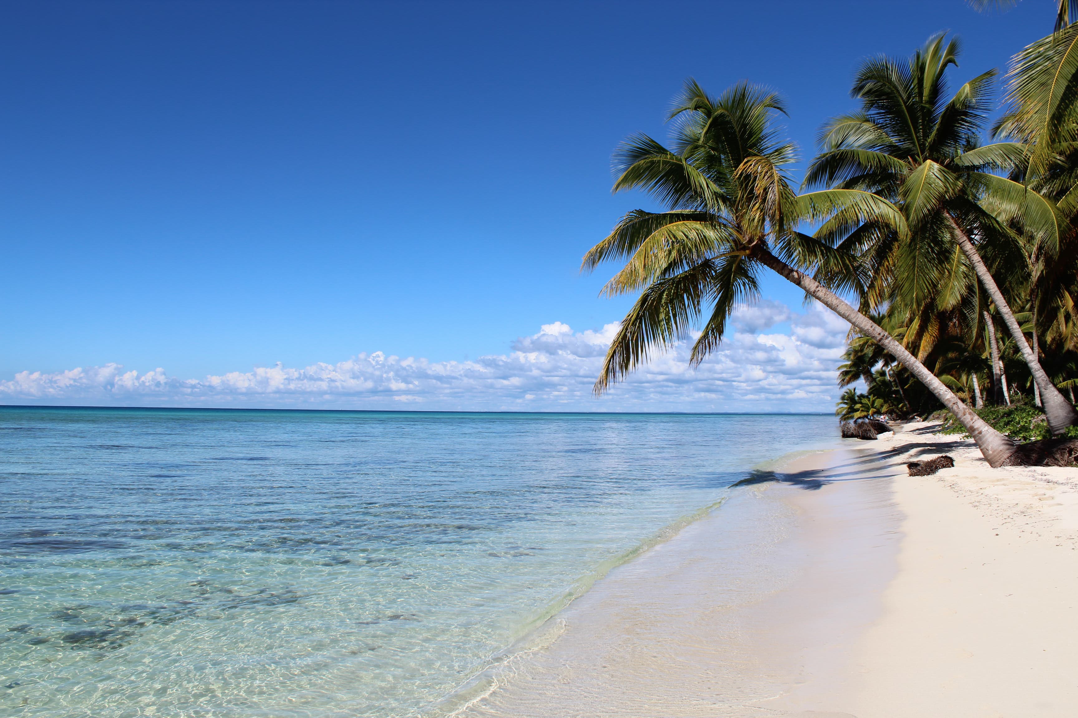 Punta Cana — imagen 2