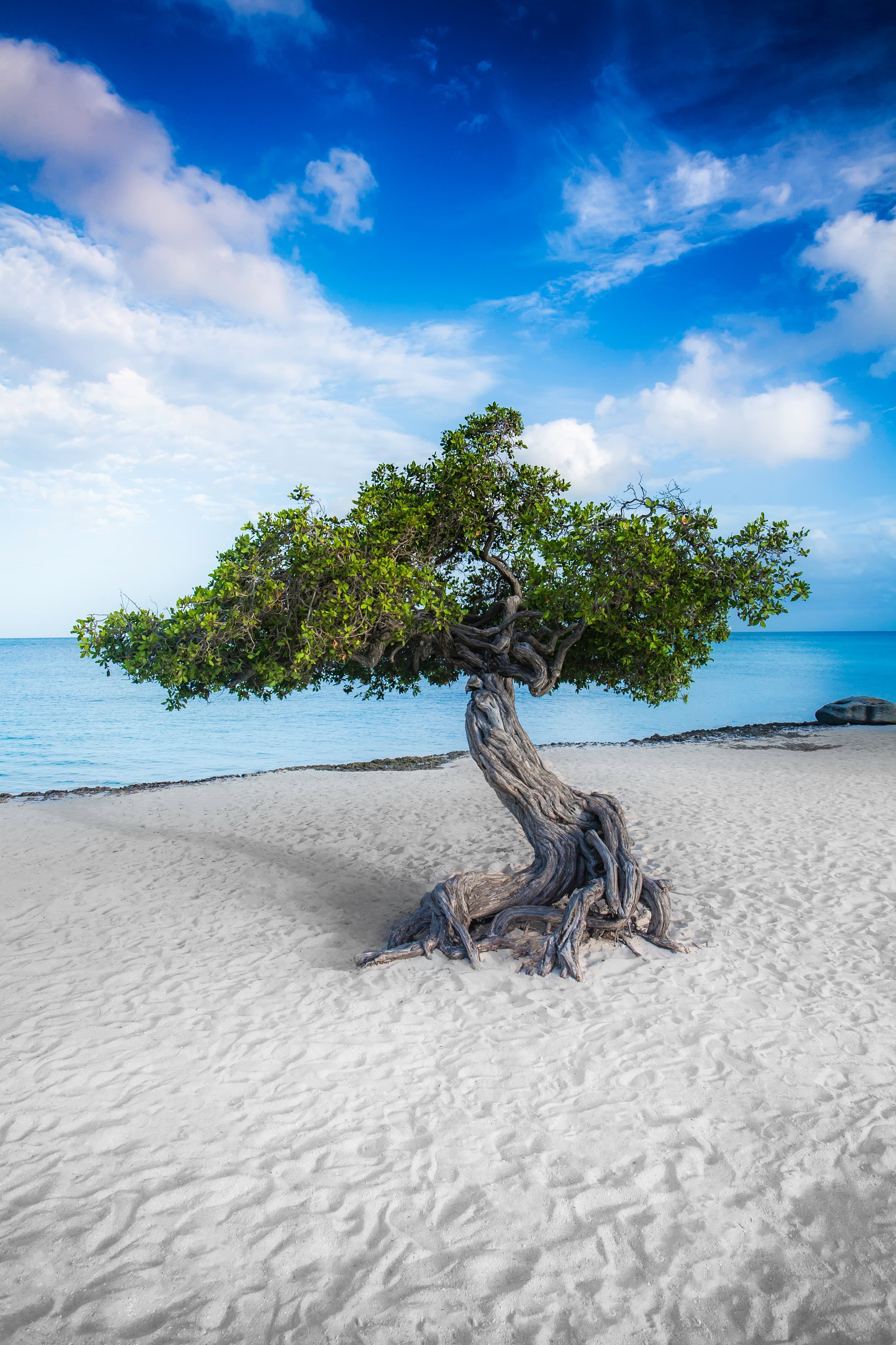 Aruba