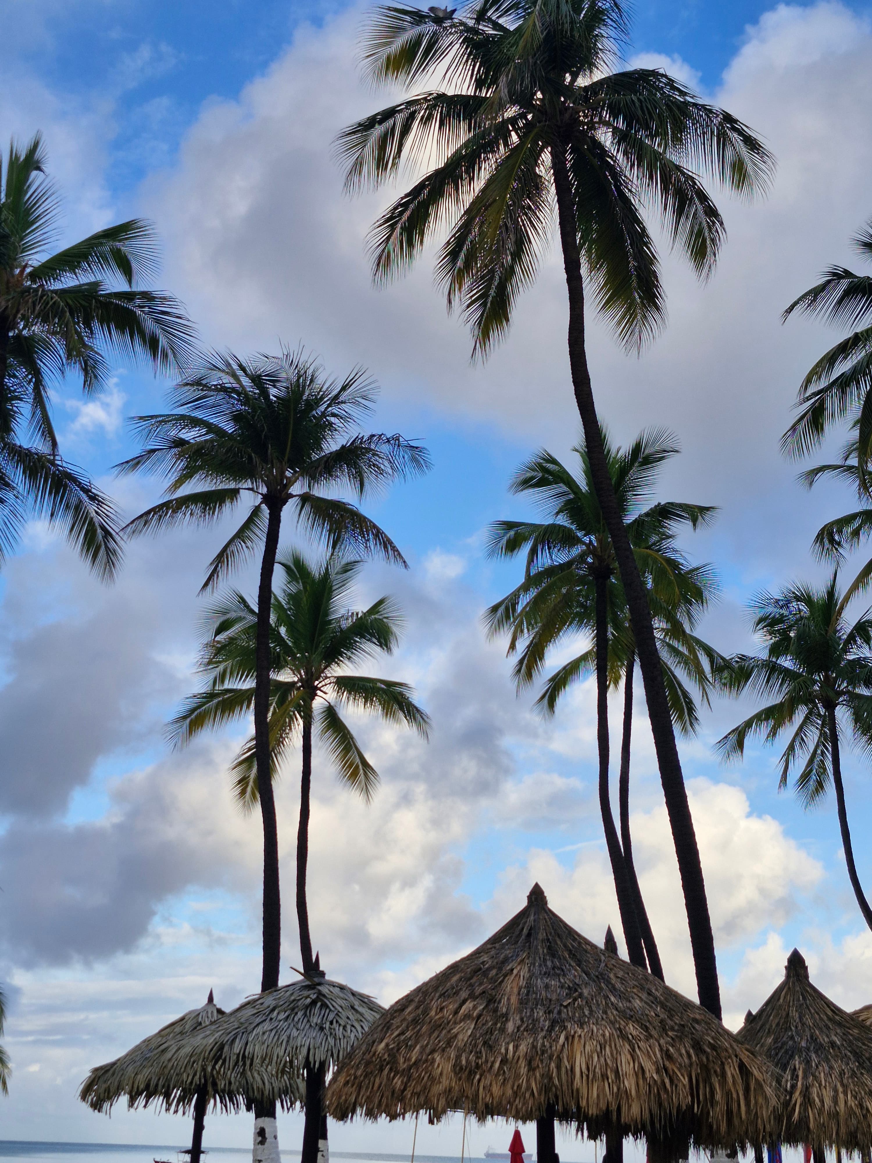 Aruba — imagen 3