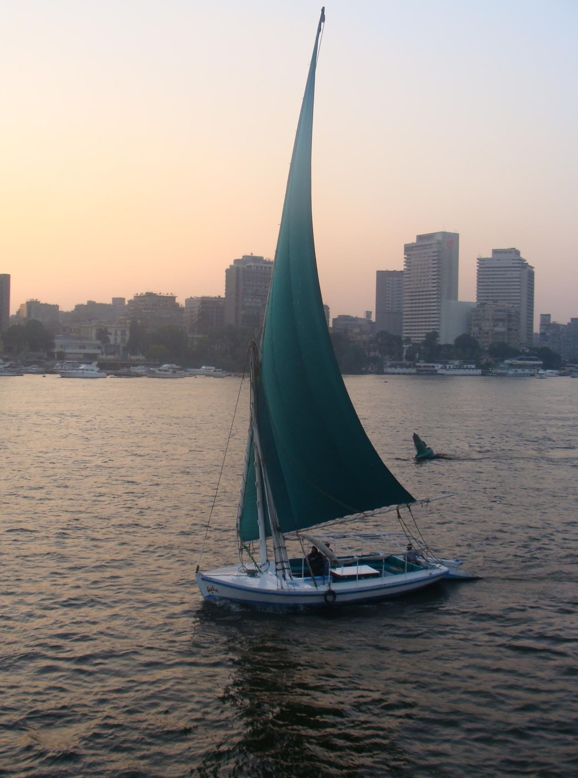 El Cairo — imagen 4